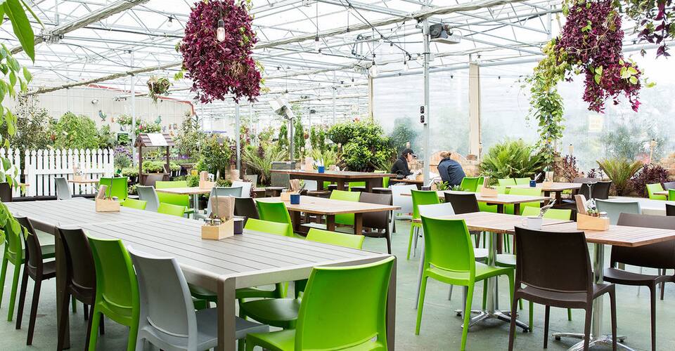 Kings Garden Cafe Henderson Auckland